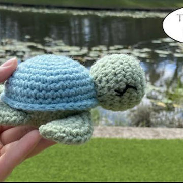 Turtles