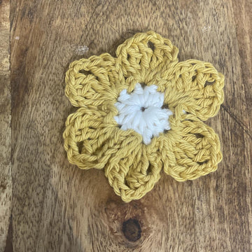 7 Daisies
