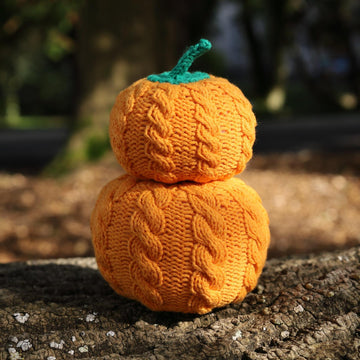 Two Cabled Pumpkins