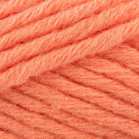 Salmon (141)