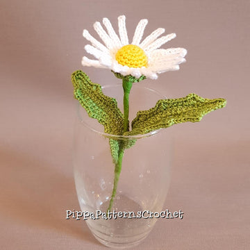 Daisy