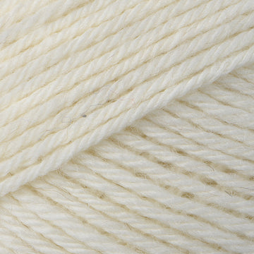 Ella Rae Superwash Classic
