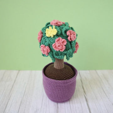 Garden Plants, Flowers and Bugs