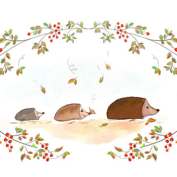 Hedgehog Woodland collection