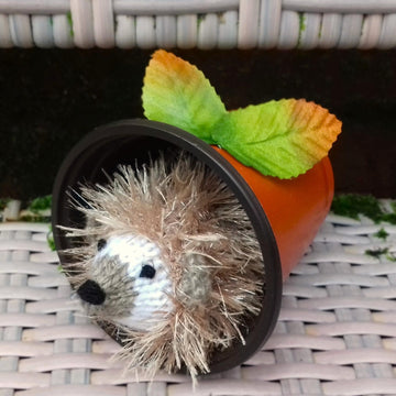 Waking Hedgehog - Creme Egg Cover