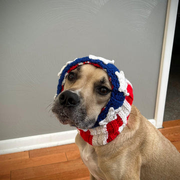 American Flag Dog Snood