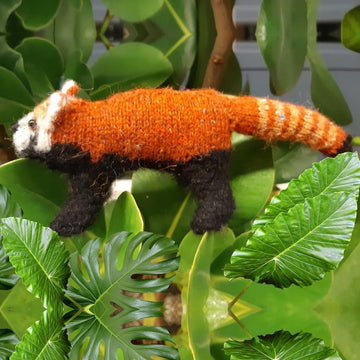 Red panda