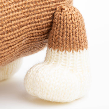 Pembroke Welsh Corgi in Deramores Studio DK - Downloadable PDF