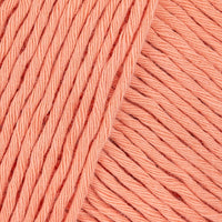 Shrimp (41107)