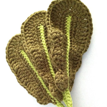 Turnip / Rutabaga