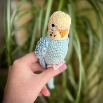 Pearl the Budgie