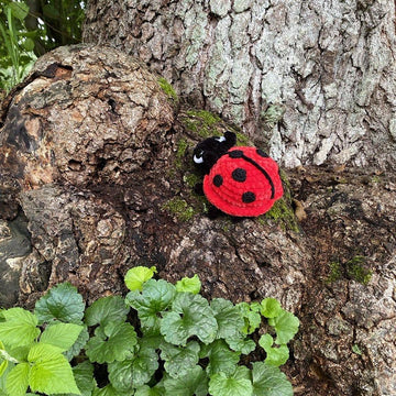 Ladybug