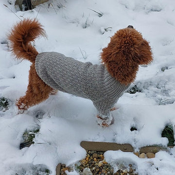 Dog Sweater Charlie No.3