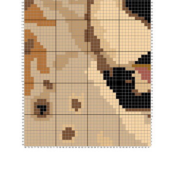 C2C Cheetah Face Crochet Pattern