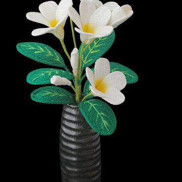 Crochet Plumeria flowers pattern