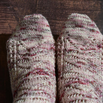 Kolia chaussettes VF