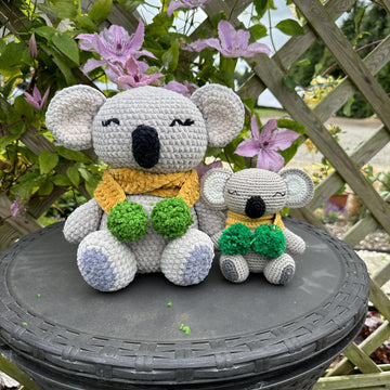 Kylo the Koala