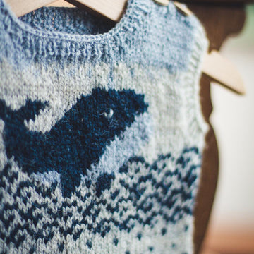 Max Whale Sweater (sleeveless)