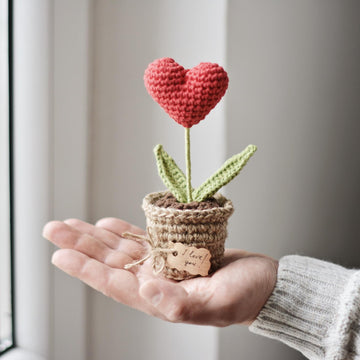 Valentine’s Day Heart Plant