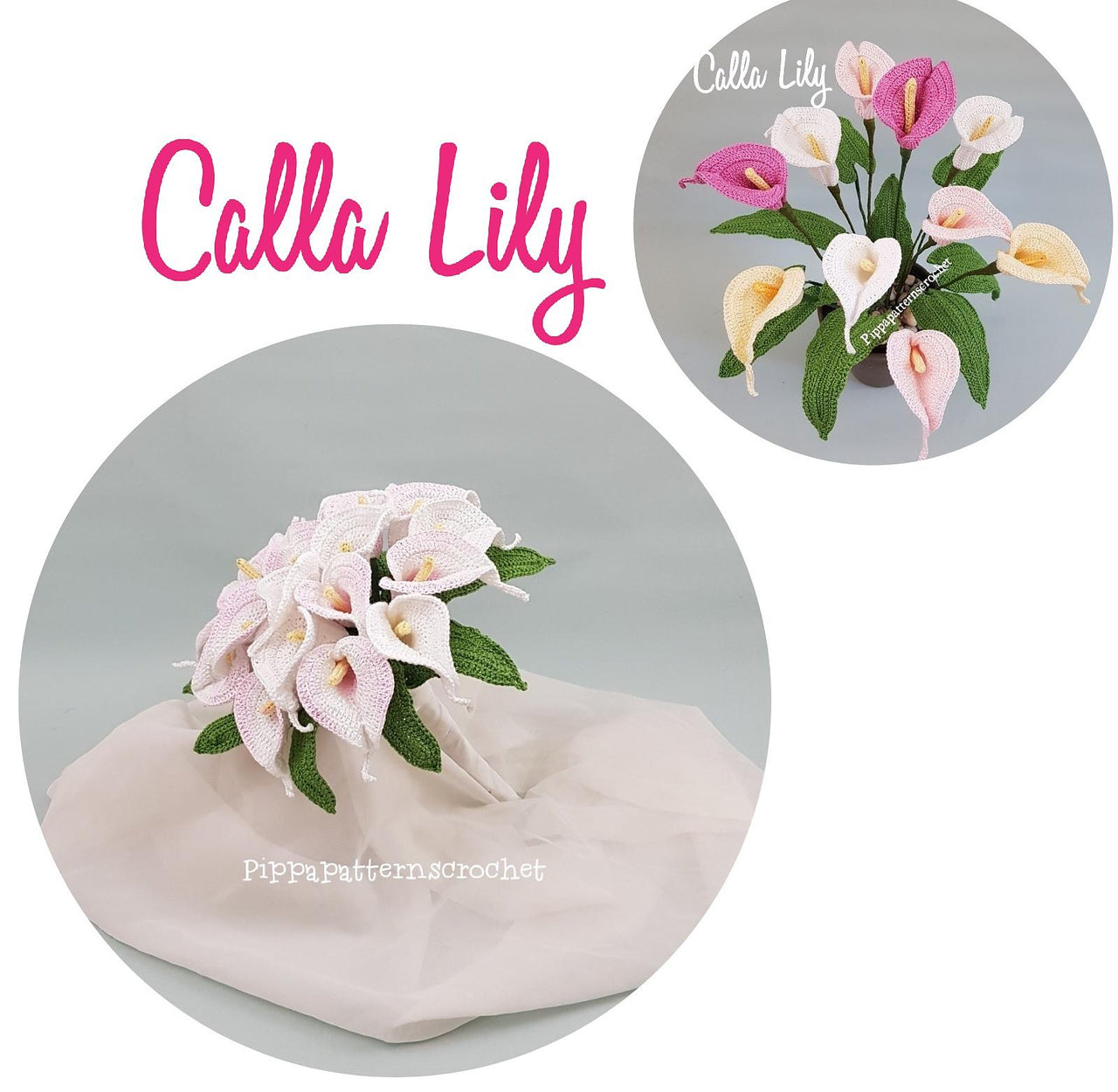 Calla Lily