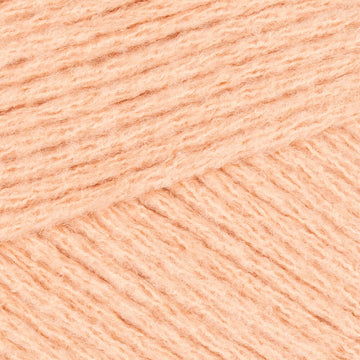 Apricot (74007)