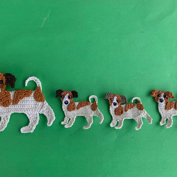 Jack Russell Dog