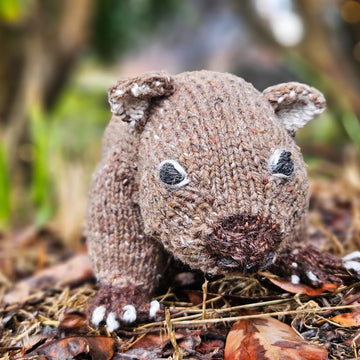 Australian Wombat