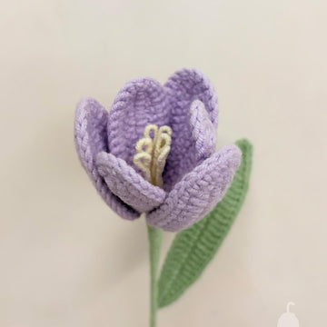 Tulip