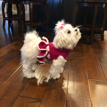 My Funny Valentine Dog Sweater