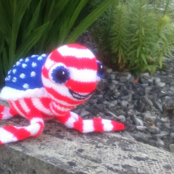 American Flag Sea Turtle