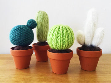Baby Cactus Garden
