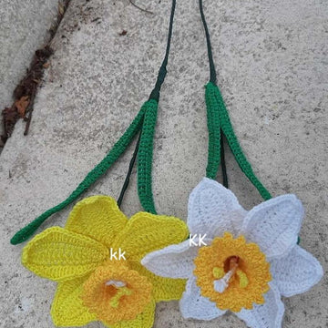 Daffodil or Narciscus flower