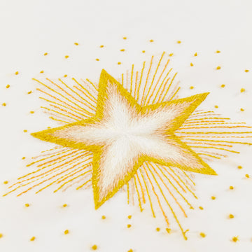 The North Star in DMC - PAT0850 - Downloadable PDF