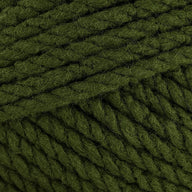 Eucalyptus (28247)