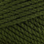 Eucalyptus (28247)