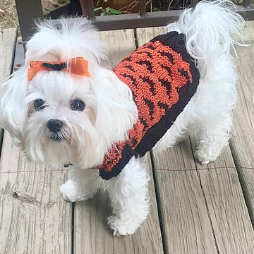 Going Batty Dog Sweater