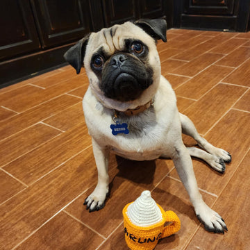 Pumpkin Spice Dog Toy