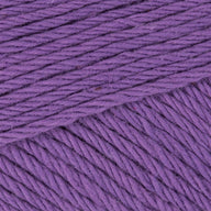 Crocus Purple (10)
