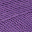 Crocus Purple (10)