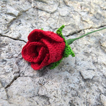 Rose bud