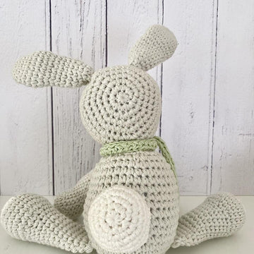 Bodhi the Rabbit