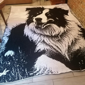 Overlay Mosaic "BORDER COLLIE 2"