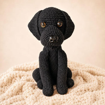Labrador sitzend