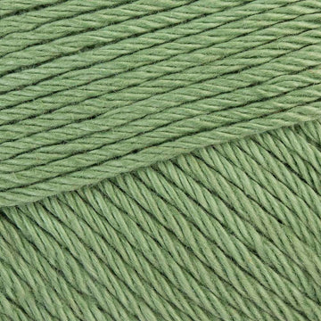 Sage Green (212)