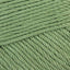 Sage Green (212)