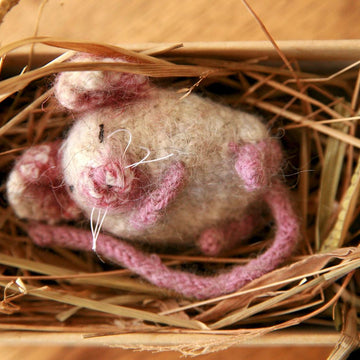 Sleepy Mouse