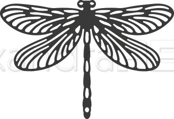 Alexandra Renke Dies - Dragonfly, Wildness Of Nature