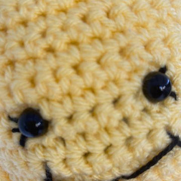 CuBoid: Bee