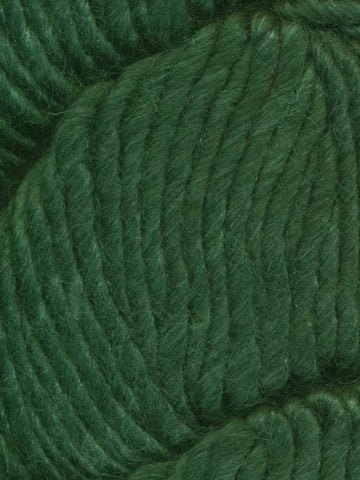 Shamrock (125)