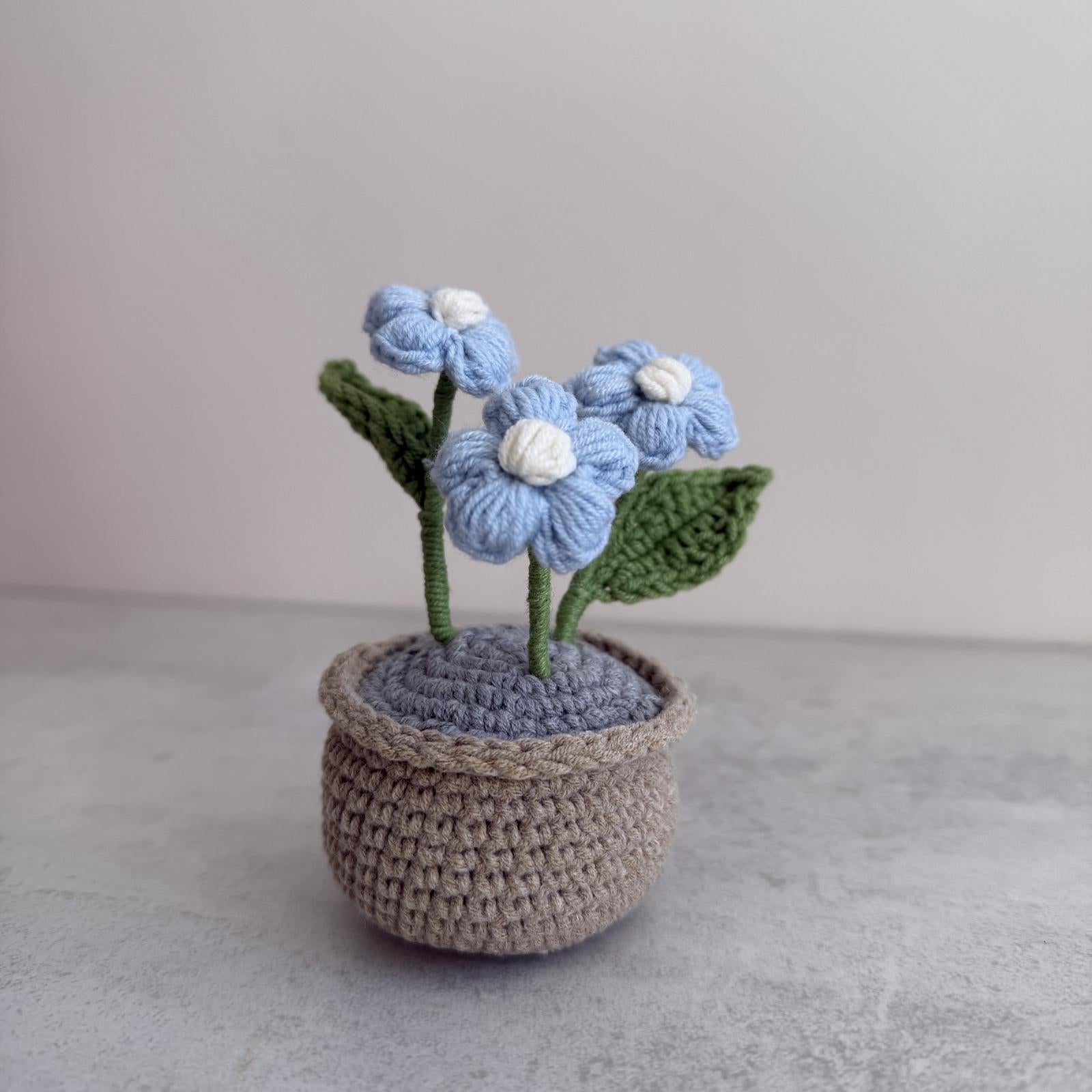 Puff Flower Plant